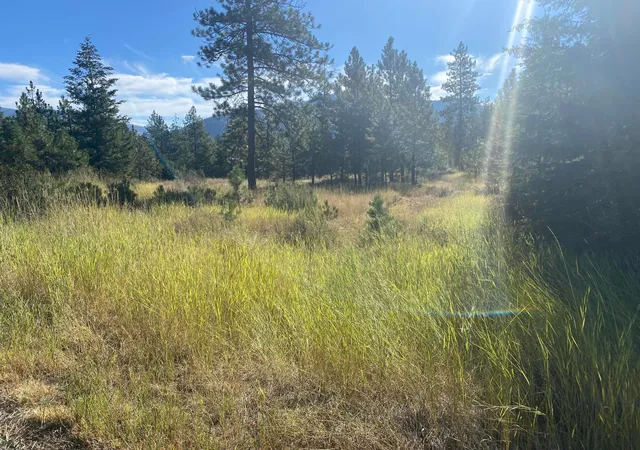 Homes for sale in Plains, MT | Lot 30 Bighorn, Plains, MT 59859 | MLS# 22213139