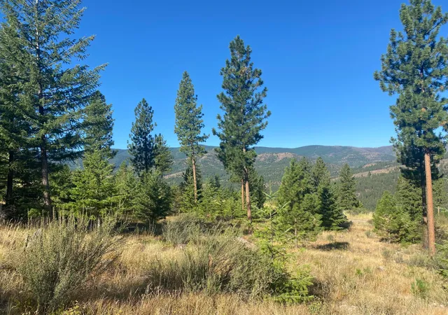 Homes for sale in Plains, MT | Lot 14 Bighorn, Plains, MT 59859 | MLS# 22213133