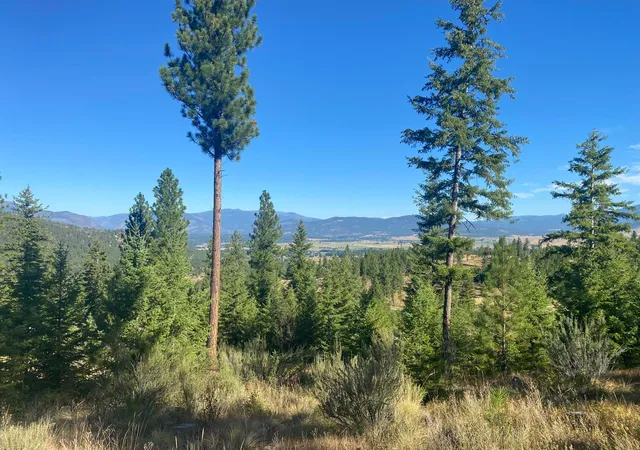 Homes for sale in Plains, MT | Lot 27 Bighorn Bluff, Plains, MT 59859 | MLS# 22213137