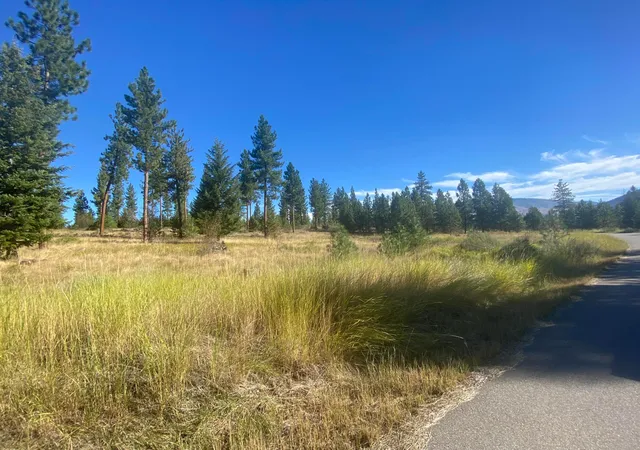 Homes for sale in Plains, MT | Lot 40 Bighorn Bluff Loop, Plains, MT 59859 | MLS# 22213144
