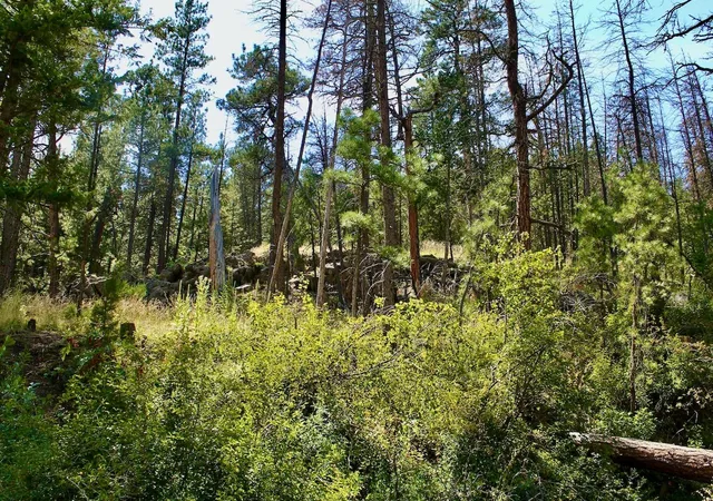 1st image of 00 Box Canyon Ln, Cascade, MT 59421 | MLS# 30000525