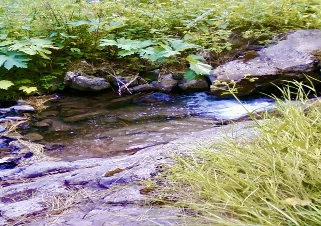 2nd image of 00 Box Canyon Ln, Cascade, MT 59421 | MLS# 30000525
