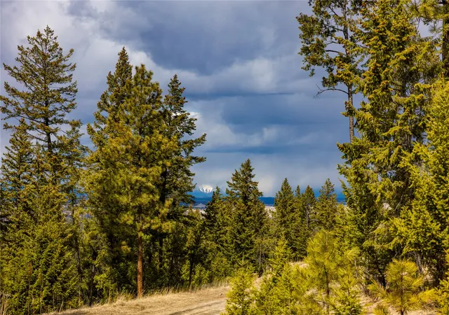 Photo 1 of Land for sale at 1243 Tobacco Valley View Rd, Rexford, MT 59930 | MLS# 30002930 | Listing updated on 2026-08-28