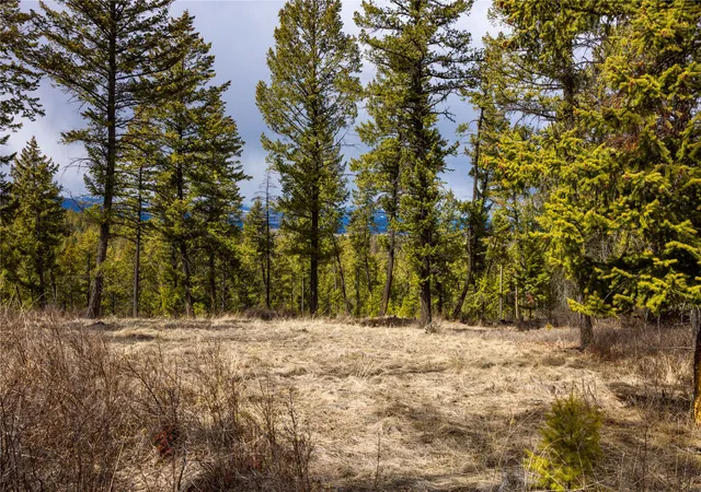 Photo 2 of Land for sale at 1243 Tobacco Valley View Rd, Rexford, MT 59930 | MLS# 30002930 | Listing updated on 2026-08-28