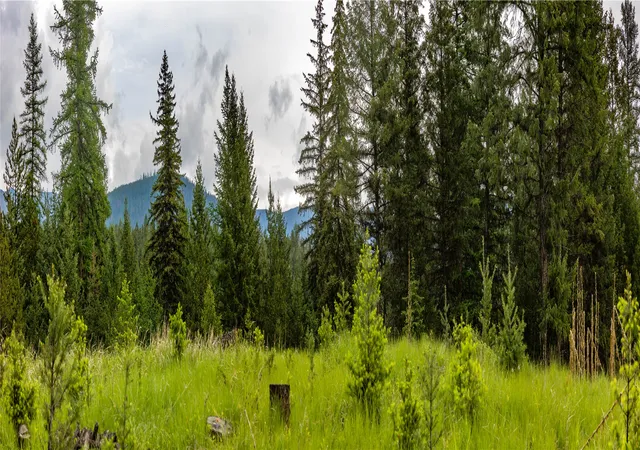 3rd image of 4736 Sinclair Creek Dr, Eureka, MT 59917 | MLS# 30006341