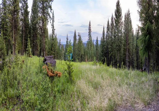 4th image of 4736 Sinclair Creek Dr, Eureka, MT 59917 | MLS# 30006341