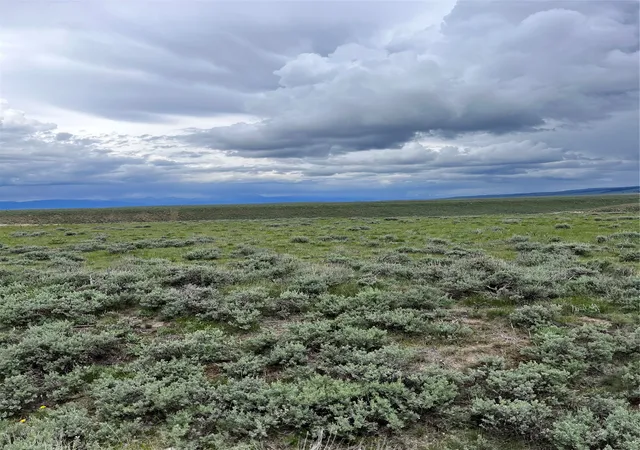 Homes for sale in Wisdom, MT | Tract 22 Steel Creek Rd, Wisdom, MT 59761 | MLS# 30008285
