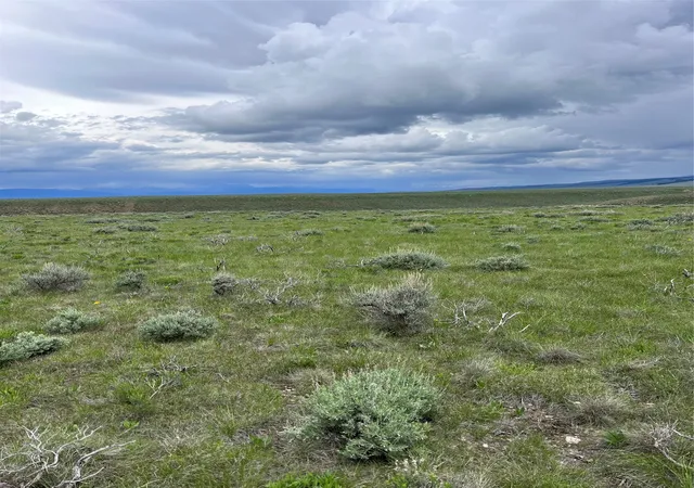 Photo 3 of Land for sale at Tract 22 Steel Creek Rd, Wisdom, MT 59761 | MLS# 30008285 | Listing updated on 2026-07-01