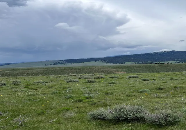 Photo 5 of Land for sale at Tract 22 Steel Creek Rd, Wisdom, MT 59761 | MLS# 30008285 | Listing updated on 2026-07-01