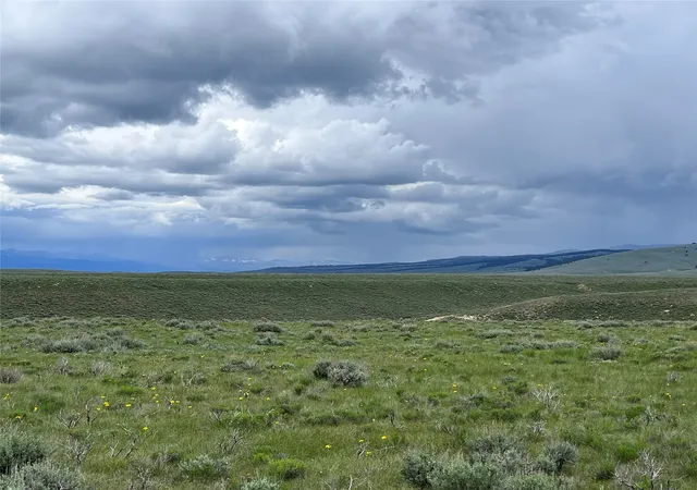 Homes for sale in Wisdom, MT | Tract 22 Steel Creek Rd, Wisdom, MT 59761 | MLS# 30008285