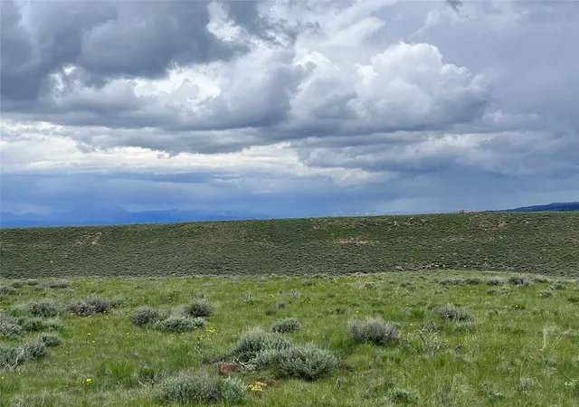 Homes for sale in Wisdom, MT | Tract 21 Steel Creek Rd, Wisdom, MT 59761 | MLS# 30008293