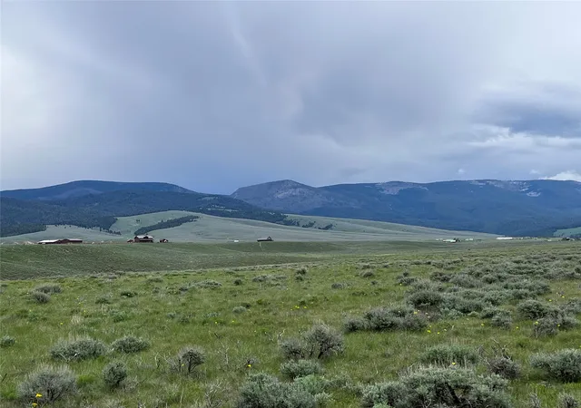 Photo 4 of Land for sale at Tract 21 Steel Creek Rd, Wisdom, MT 59761 | MLS# 30008293 | Listing updated on 2026-07-01
