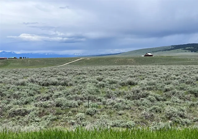 Homes for sale in Wisdom, MT | Tract 11 Steel Creek Rd, Wisdom, MT 59761 | MLS# 30008310