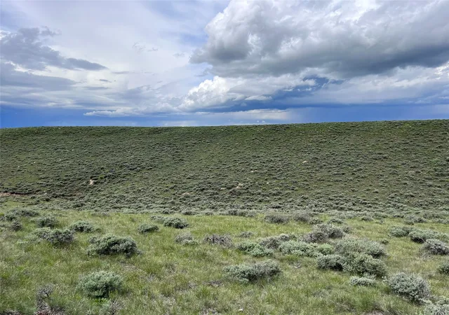 Homes for sale in Wisdom, MT | Tract 11 Steel Creek Rd, Wisdom, MT 59761 | MLS# 30008310