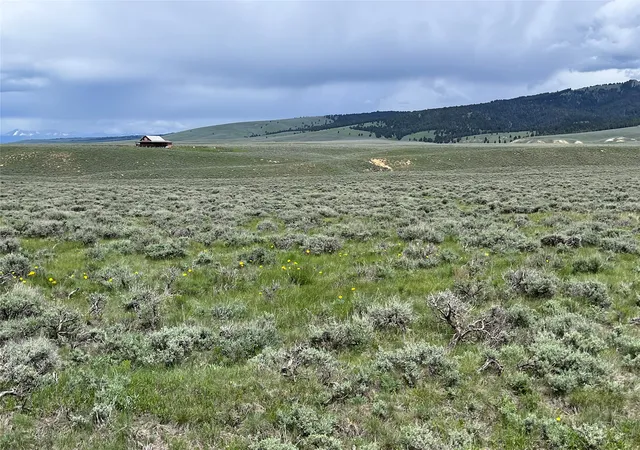 Homes for sale in Wisdom, MT | Tract 10 Steel Creek Rd, Wisdom, MT 59761 | MLS# 30008311