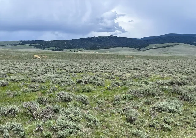 Photo 3 of Land for sale at Tract 10 Steel Creek Rd, Wisdom, MT 59761 | MLS# 30008311 | Listing updated on 2026-07-01