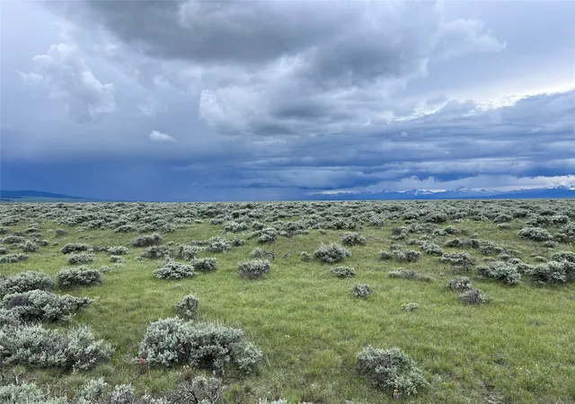 Photo 3 of Land for sale at Tract 35 Monte Dr, Wisdom, MT 59761 | MLS# 30008319 | Listing updated on 2026-07-01