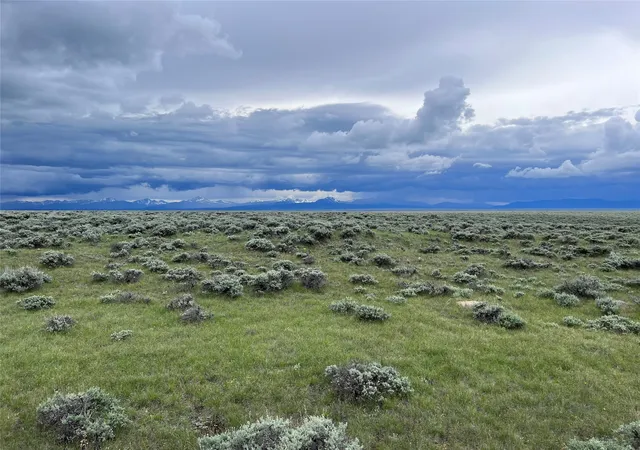 Photo 4 of Land for sale at Tract 35 Monte Dr, Wisdom, MT 59761 | MLS# 30008319 | Listing updated on 2026-07-01