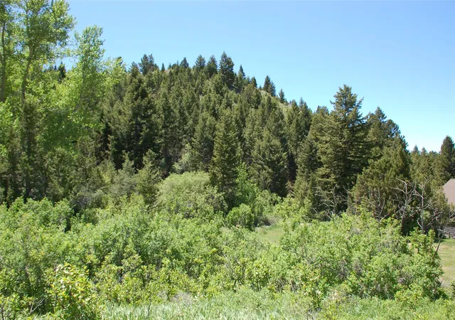 Homes for sale in Virginia City, MT | Multiple Blocks, Virginia City, MT 59755 | MLS# 30008836