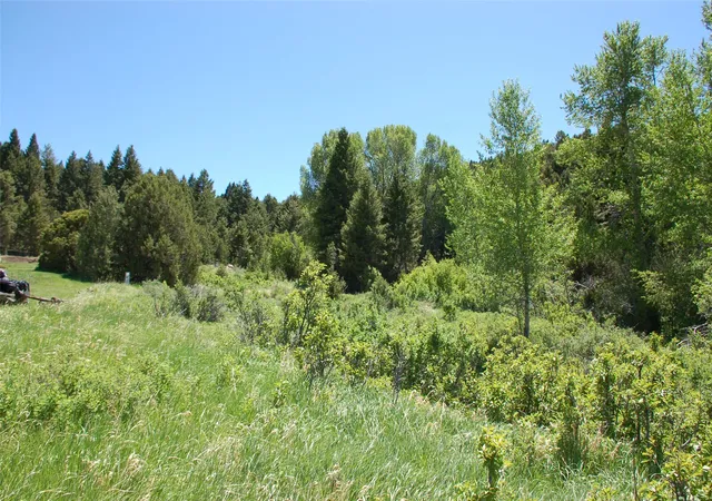 Homes for sale in Virginia City, MT | Multiple Blocks, Virginia City, MT 59755 | MLS# 30008836