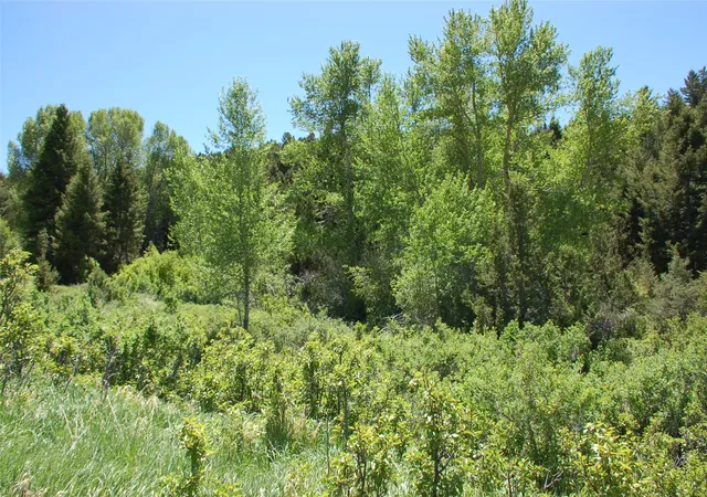 Homes for sale in Virginia City, MT | Multiple Blocks, Virginia City, MT 59755 | MLS# 30008836