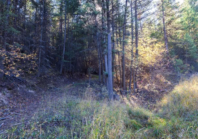 Photo 1 of Land for sale at 10 Acres Gut Creek Rd, Rexford, MT 59930 | MLS# 30011568 | Listing updated on 2026-07-30