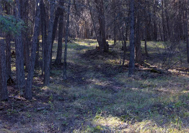 Photo 2 of Land for sale at 10 Acres Gut Creek Rd, Rexford, MT 59930 | MLS# 30011568 | Listing updated on 2026-07-30