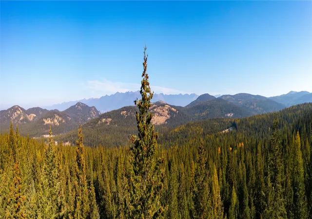 Photo 3 of Land for sale at 10 Acres Gut Creek Rd, Rexford, MT 59930 | MLS# 30011568 | Listing updated on 2026-07-30
