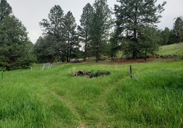 5th image of Nhn Oertli Ln, Hamilton, MT 59840 | MLS# 30012313