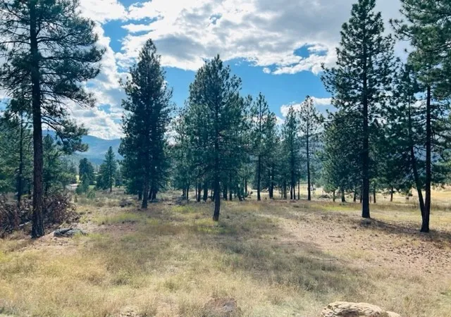 Homes for sale in Plains, MT | Nhn River Rd W, Plains, MT 59859 | MLS# 30013609
