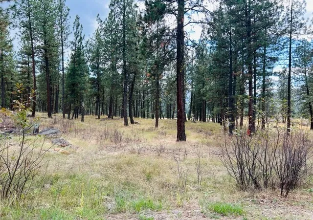 Homes for sale in Plains, MT | Nhn River Rd W, Plains, MT 59859 | MLS# 30013609