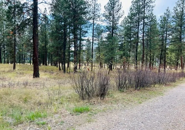 Homes for sale in Plains, MT | Nhn River Rd W, Plains, MT 59859 | MLS# 30013609