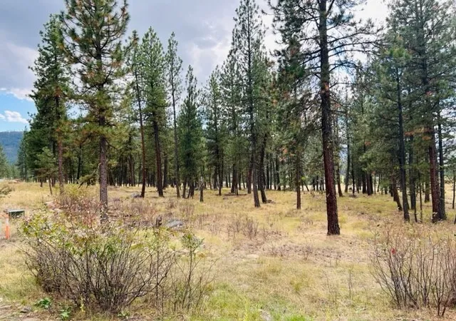 Homes for sale in Plains, MT | Nhn River Rd W, Plains, MT 59859 | MLS# 30013609