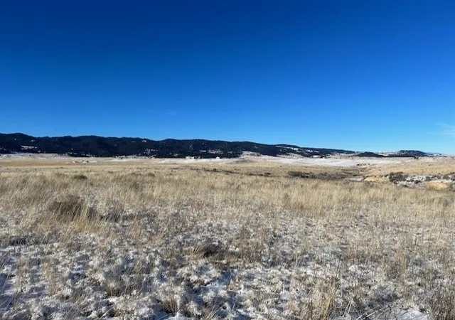 11th image of Lot 37 D Pronghorn Trl, Butte, MT 59750 | MLS# 30018368