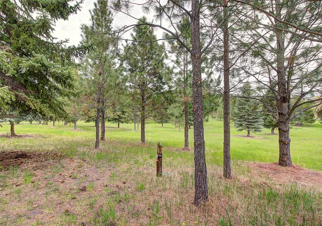 2nd image of Nhn Blue Spruce Dr, Polson, MT 59860 | MLS# 30019407