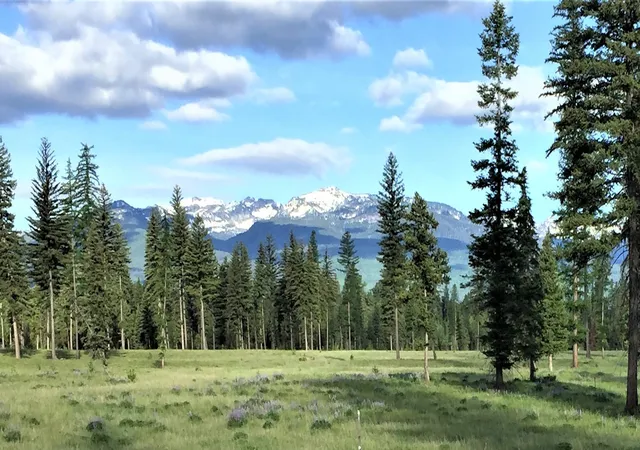 1st image of 865 Remicks Rd, Swan Valley, MT 59826 | MLS# 30020267