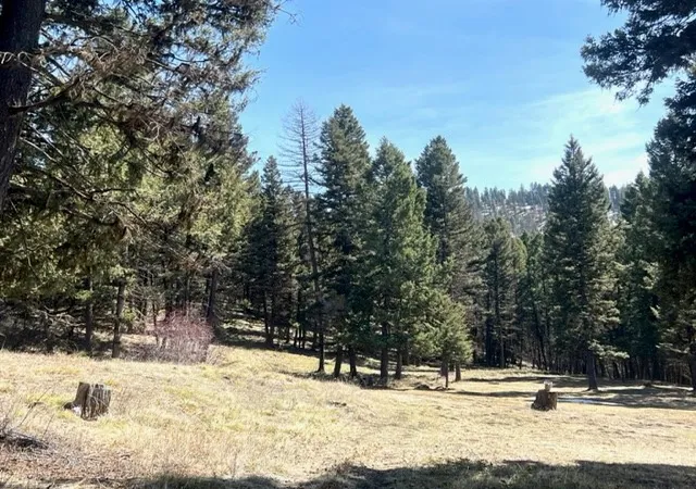 1st image of 990 Elkhorn Rd, Seeley Lake, MT 59868 | MLS# 30023037