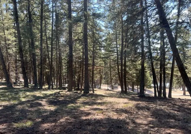 2nd image of 990 Elkhorn Rd, Seeley Lake, MT 59868 | MLS# 30023037