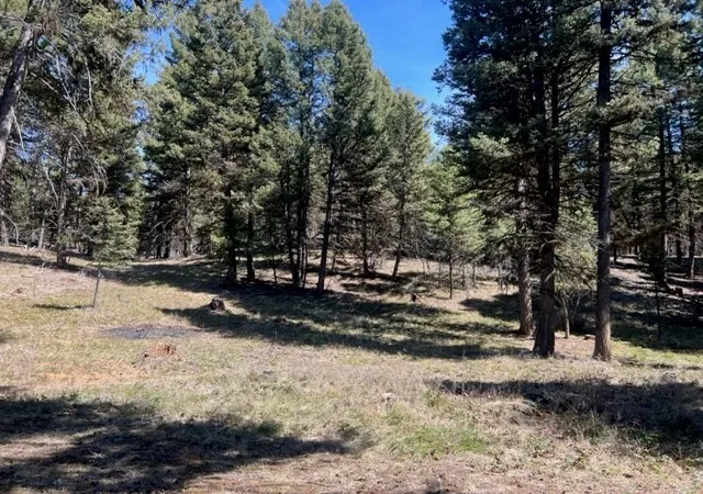 4th image of 990 Elkhorn Rd, Seeley Lake, MT 59868 | MLS# 30023037