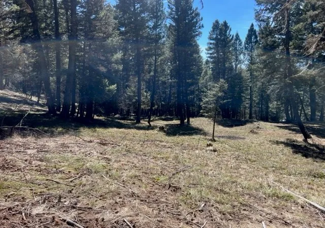 5th image of 990 Elkhorn Rd, Seeley Lake, MT 59868 | MLS# 30023037