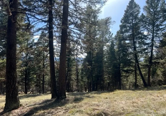 1st image of 240 Wolverine Dr, Seeley Lake, MT 59868 | MLS# 30023111