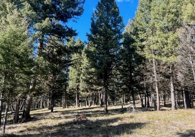 2nd image of 240 Wolverine Dr, Seeley Lake, MT 59868 | MLS# 30023111