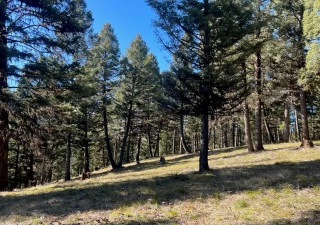 3rd image of 240 Wolverine Dr, Seeley Lake, MT 59868 | MLS# 30023111