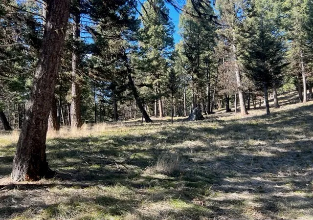 4th image of 240 Wolverine Dr, Seeley Lake, MT 59868 | MLS# 30023111