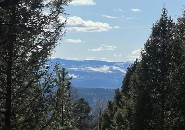 5th image of 240 Wolverine Dr, Seeley Lake, MT 59868 | MLS# 30023111