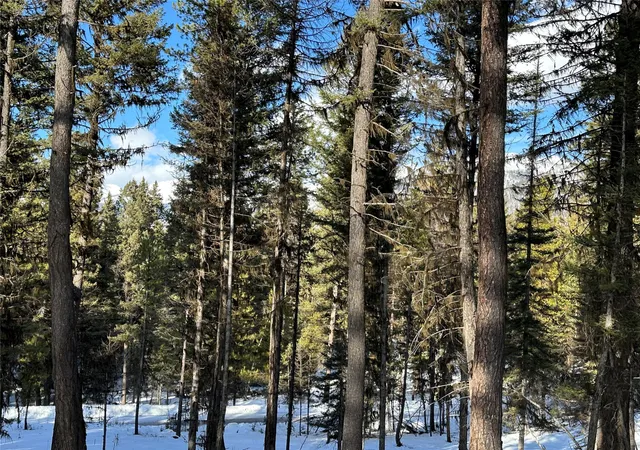 Photo 2 of Land for sale at 1295 Stage Coach Dr, Seeley Lake, MT 59868 | MLS# 30022462 | Listing updated on 2026-08-01