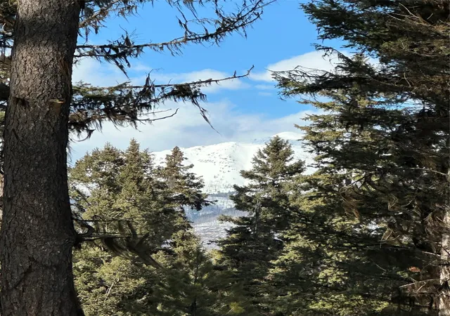 Photo 3 of Land for sale at 1295 Stage Coach Dr, Seeley Lake, MT 59868 | MLS# 30022462 | Listing updated on 2026-08-01