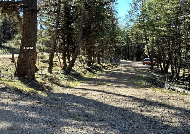 Photo 4 of Land for sale at 1295 Stage Coach Dr, Seeley Lake, MT 59868 | MLS# 30022462 | Listing updated on 2026-08-01