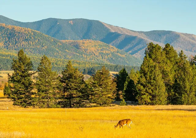 Homes for sale in Eureka, MT | 739 Paradise Loop #Lot 10, Eureka, MT 59917 | MLS# 30025597