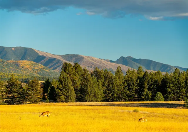 Homes for sale in Eureka, MT | 739 Paradise Loop #Lot 10, Eureka, MT 59917 | MLS# 30025597